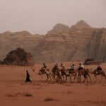 Tiere in der Sahara