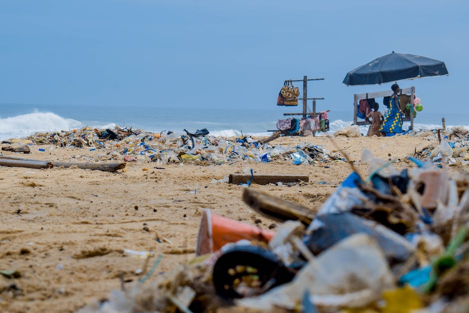  Plastikmüll-bedingter Tod von Meerestieren